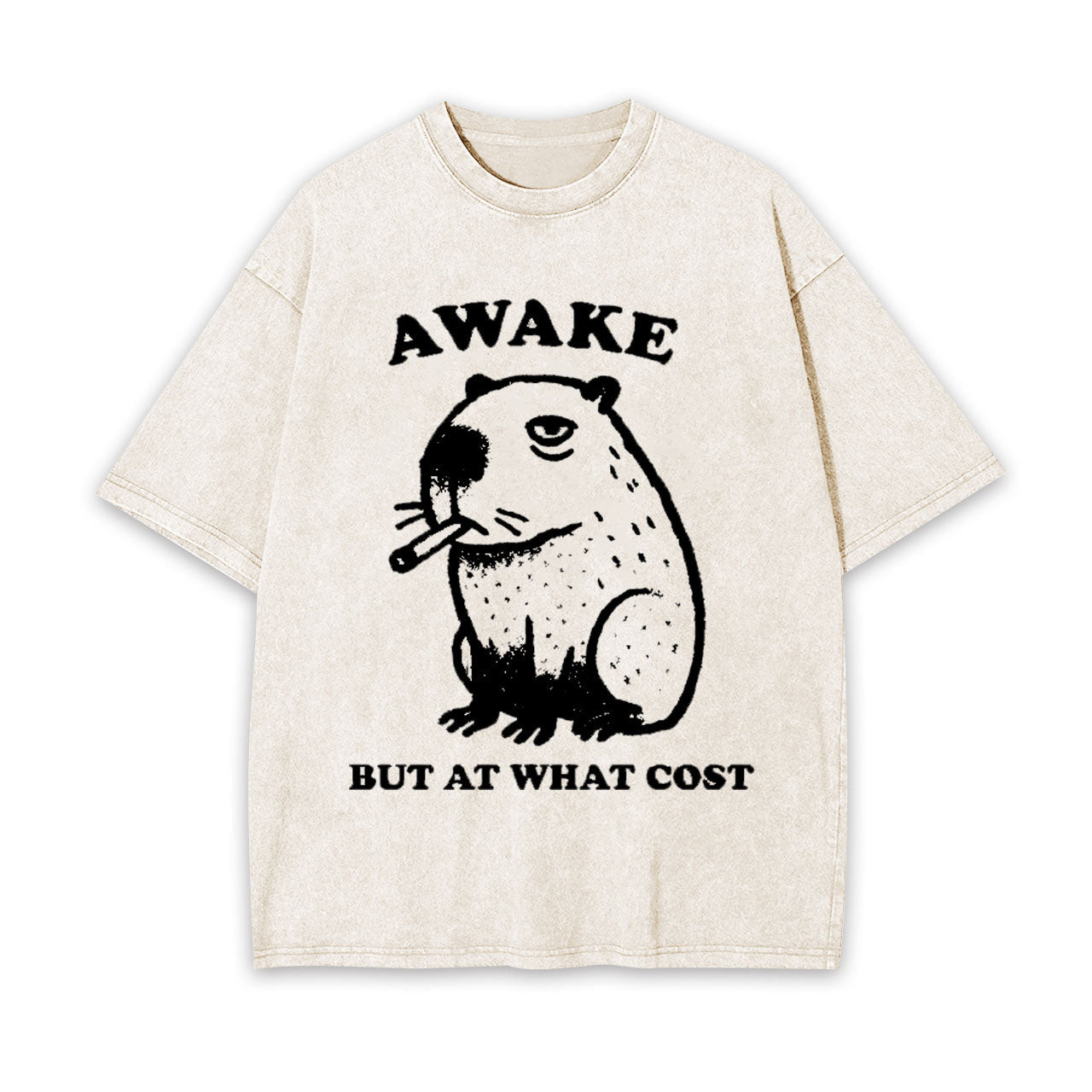 SMOKING CAPYBARA WASHED T-SHIRT