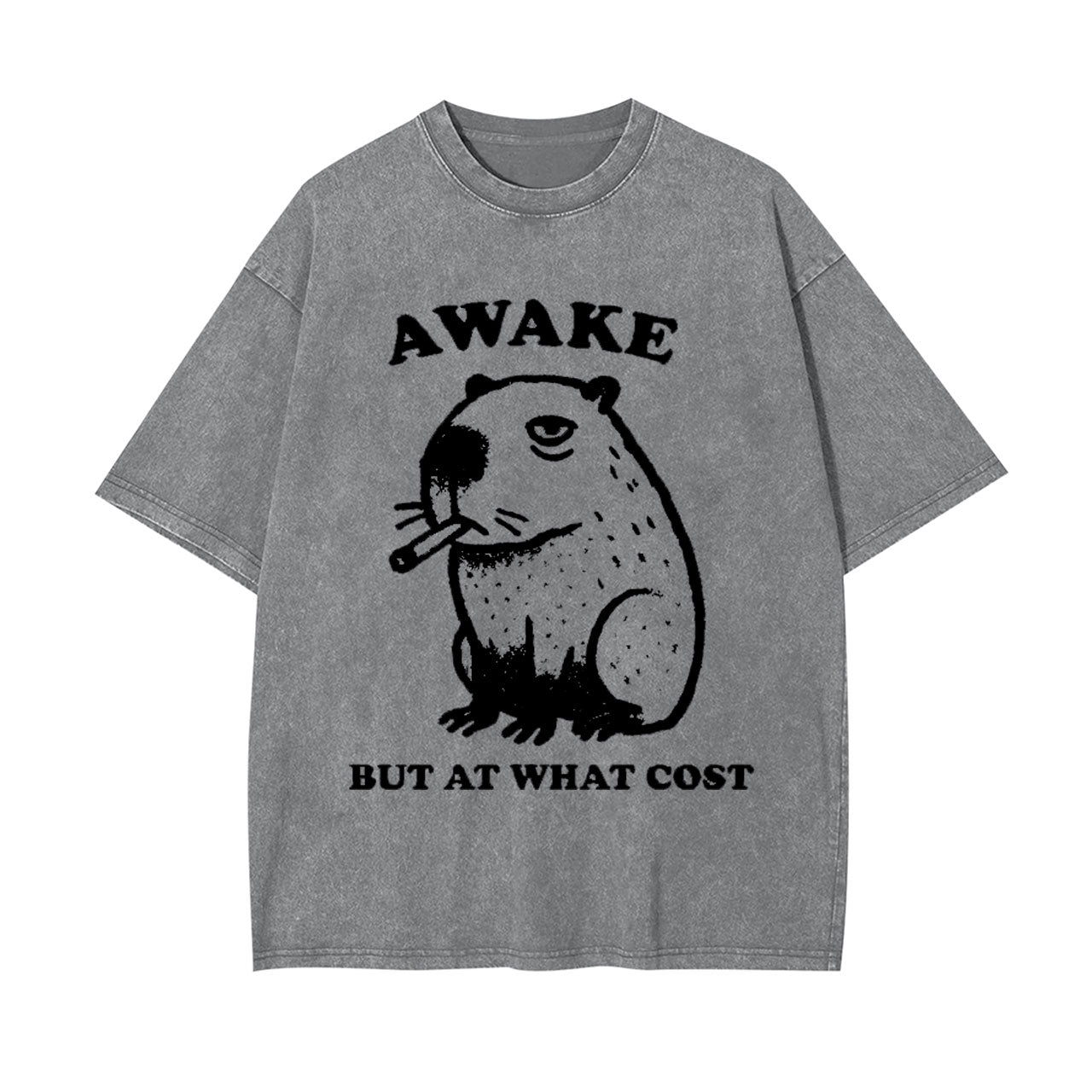 SMOKING CAPYBARA WASHED T-SHIRT