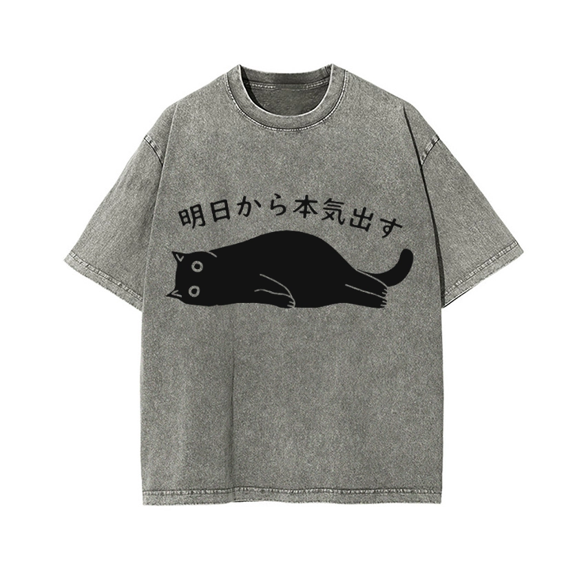 BLACK CAT GET SERIOUS FROM TOMORROW ONWARDS VINTAGE WASH JAPANESE DESIGN T-SHIRT 