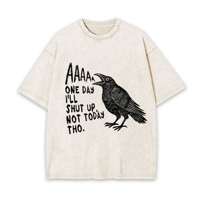FUNNY CROW JAPAN WASHED T-SHIRT