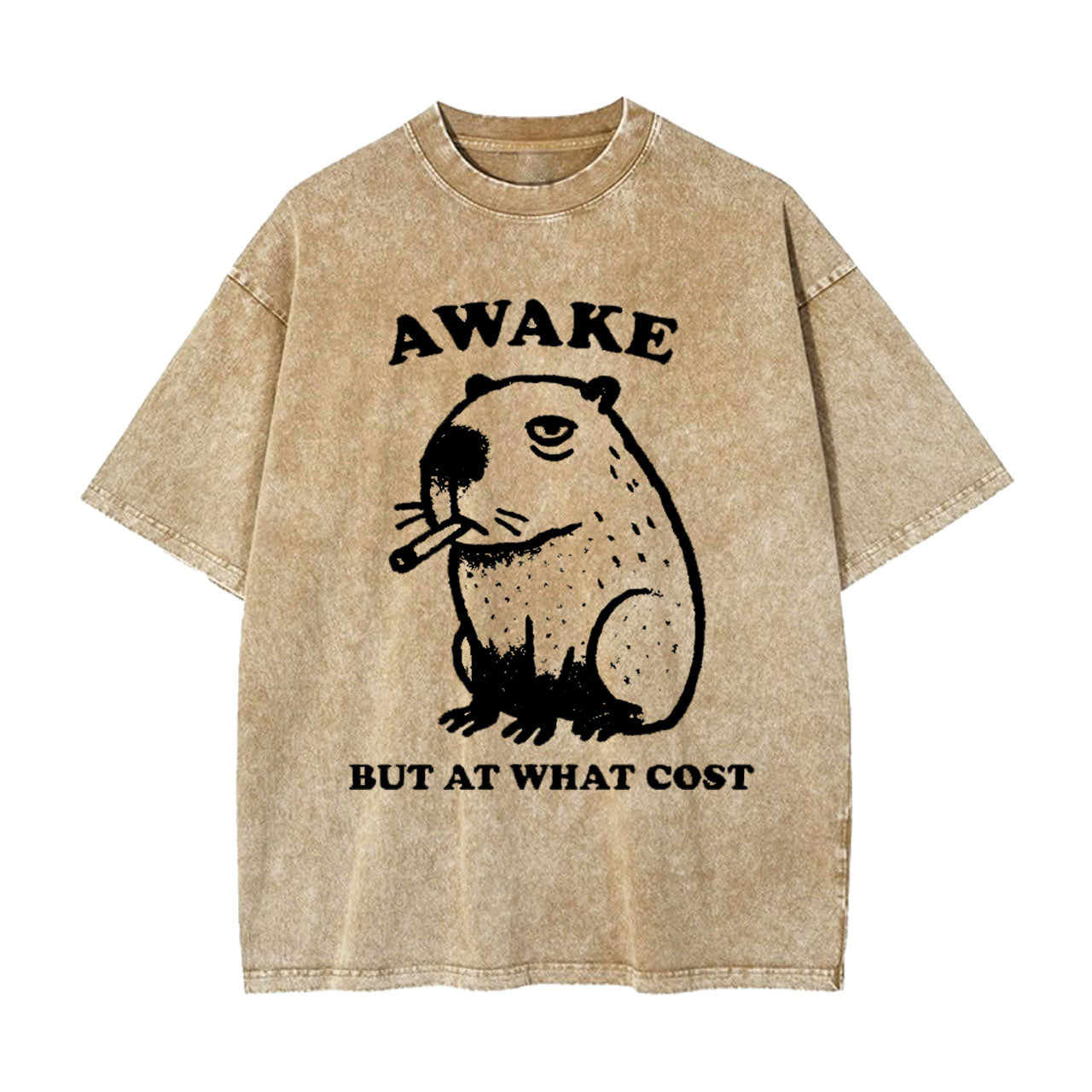 SMOKING CAPYBARA WASHED T-SHIRT 
